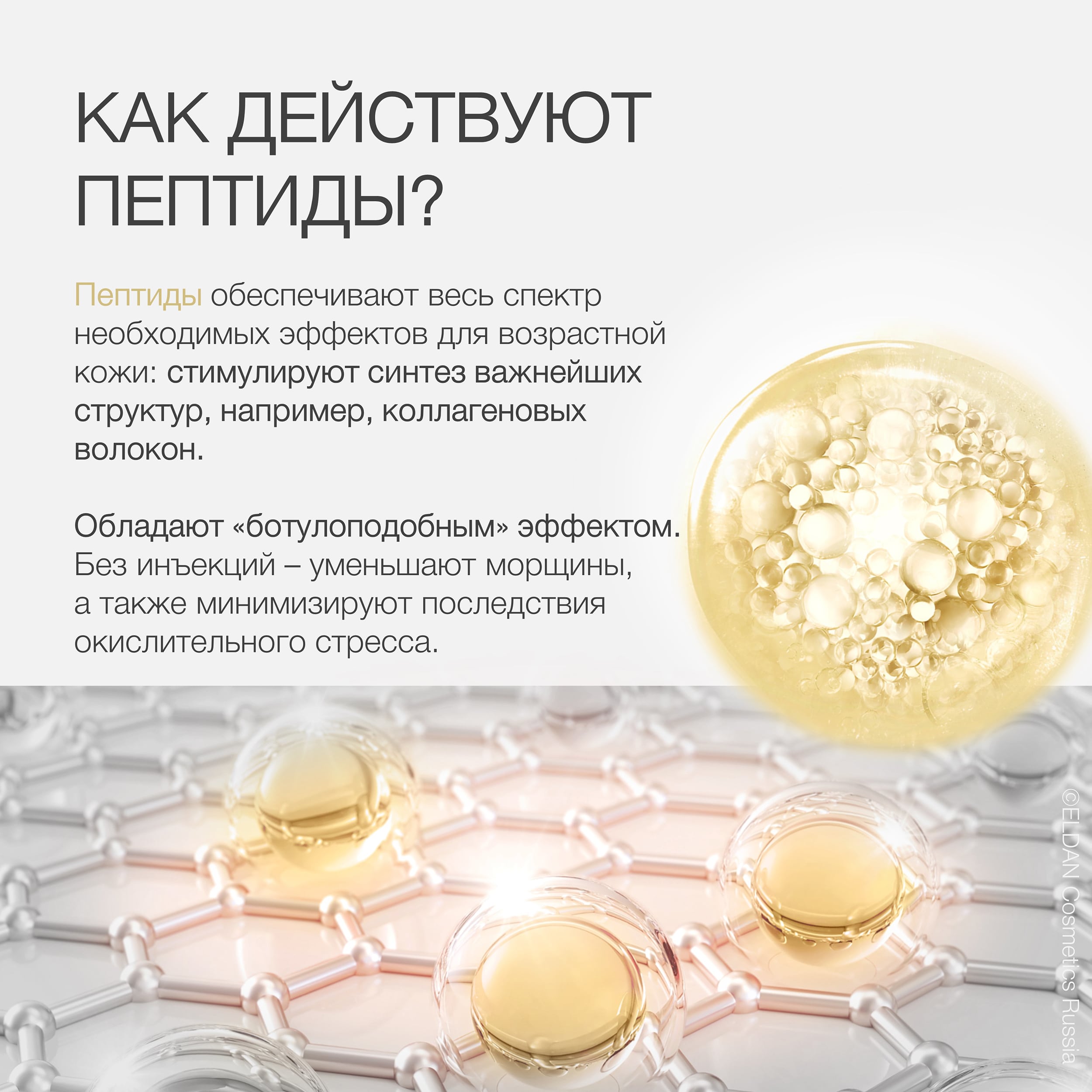 Пост пептиды 24 3.jpg